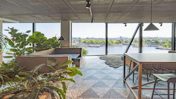 Ein moderner Büroraum mit Blick auf eine Stadt am Wasser, möglicherweise Amsterdam, mit vielen Pflanzen.