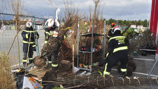 Feuerwehrleute der Wiener Neustadt arbeiten inmitten von Pflanzen in einem Baumarkt.
