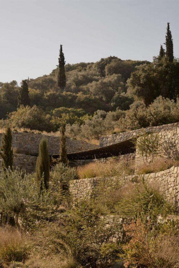 5-h-Metaxa-Liknon-K-Studio-683x1024