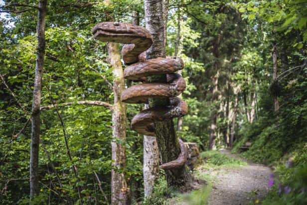 Der Guestbok-Themenweg in Zell am See