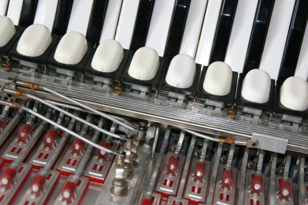 Detailaufnahme des Innenlebens eines Akkordeons.