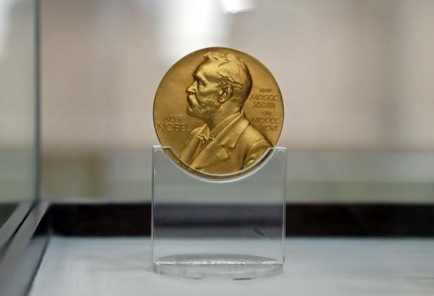 Nobelpreis-Woche: Wer ist eigentlich warum preiswürdig?