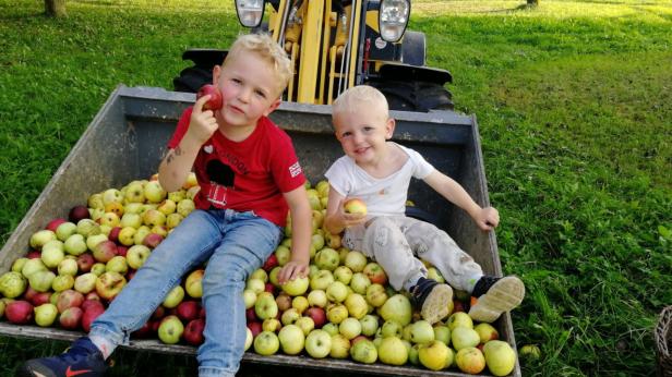 Zwei Kinder sitzen auf einer Baggerschaufel, die mit Äpfel gefüllt ist