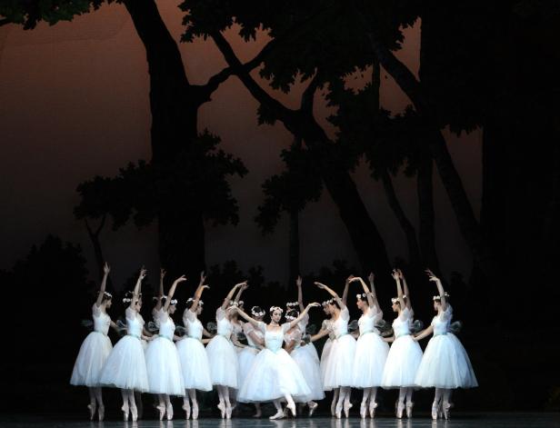 Eine Gruppe von Ballerinen in weißen Tutus tanzt auf einer Bühne vor einem dunklen Waldhintergrund.