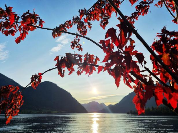 Der Oktober legt noch einmal nach: Bis zu 22 Grad sind möglich