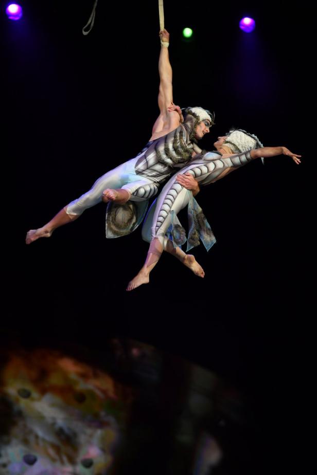Cirque du Soleil kommt mit "Ovo" nach Wien: Die Welt der Winzlinge als Zirkus-Show