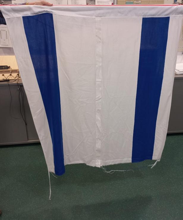 Israel Fahne Linz