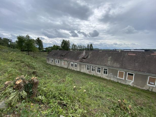 KZ-Gedenkstätte Gusen: Die Erinnerung kehrt zurück