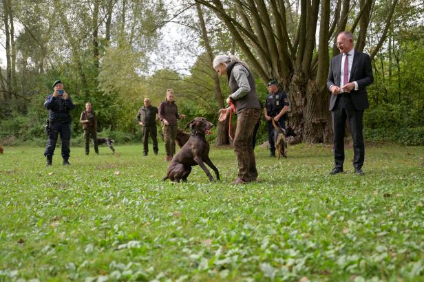 Polizeitraining geglückt: Jagdhunde erschnüffeln die Schweinepest