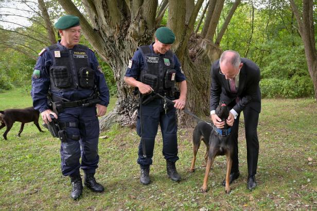 Polizeitraining geglückt: Jagdhunde erschnüffeln die Schweinepest