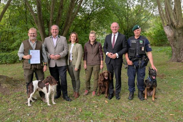 Polizeitraining geglückt: Jagdhunde erschnüffeln die Schweinepest