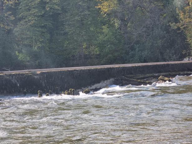 Wehrgrabenkanal in Steyr ohne Wasser: Häuser in Gefahr