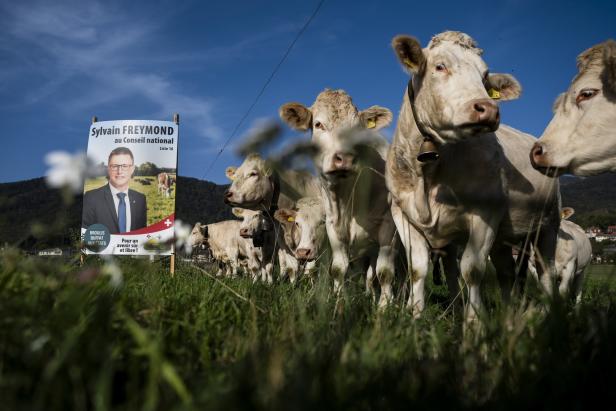 Auch in der Schweiz: Rechtspopulisten schüren Anti-Ausländer-Stimmung