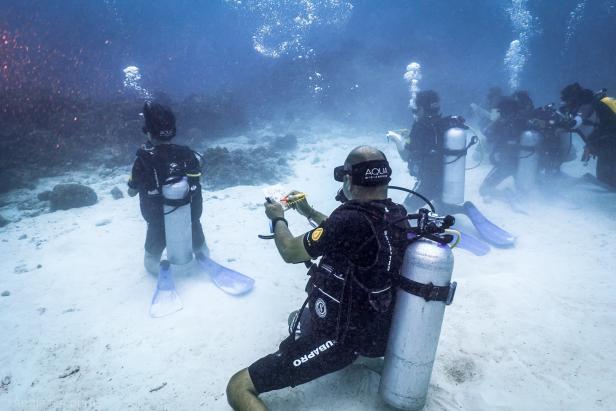 Malediven: Der Unterwassermaler in seinem Paradies