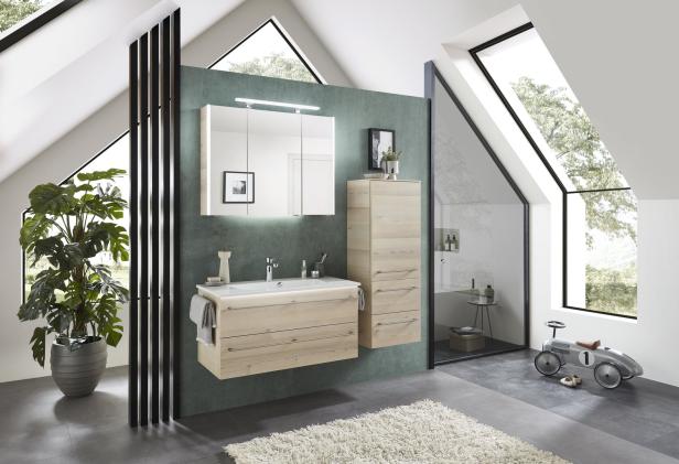 Ein modernes Badezimmer mit Dachfenstern, hellen Holzmöbeln und einer Zimmerpflanze.