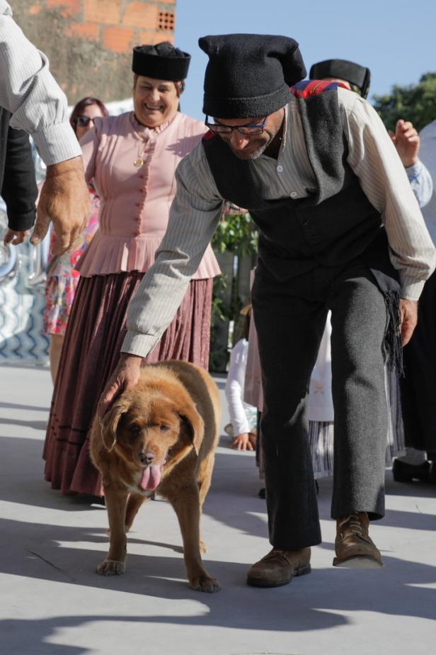 Der älteste Hund der Welt ist gestorben: Bobi wurde 31 Jahre alt