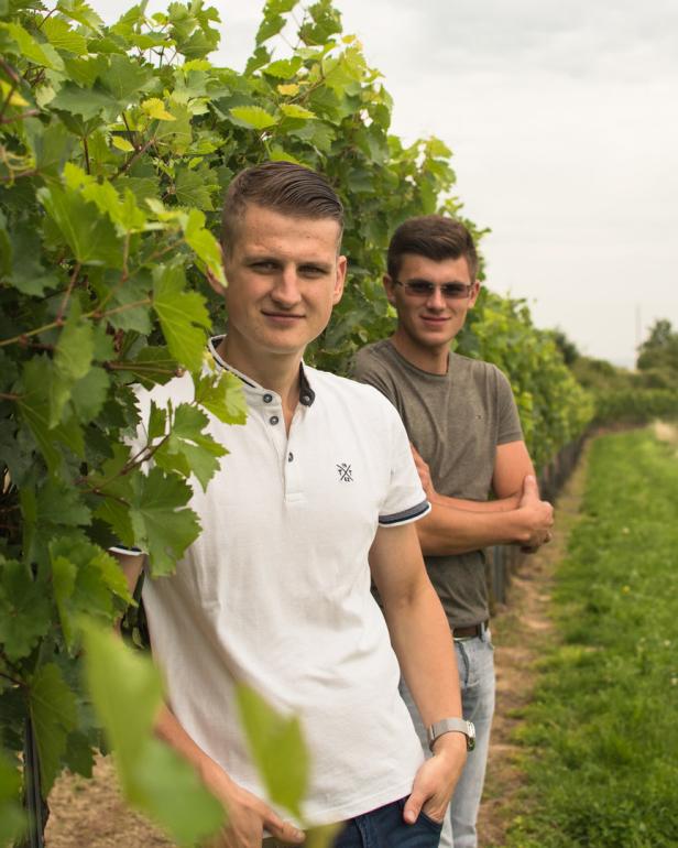 Zwei junge Männer stehen in einem Weinberg des Weinguts Humer.