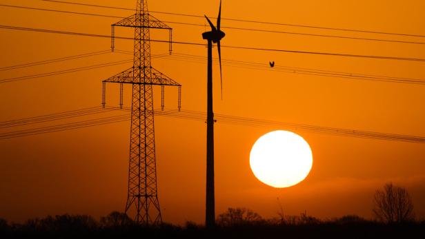 Darwin Award zeichnet die skurrilsten Unfälle aus