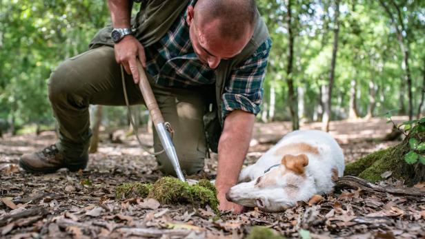 Toskana: Wo sich Fuchs und „Bieber“ gute Nacht sagen