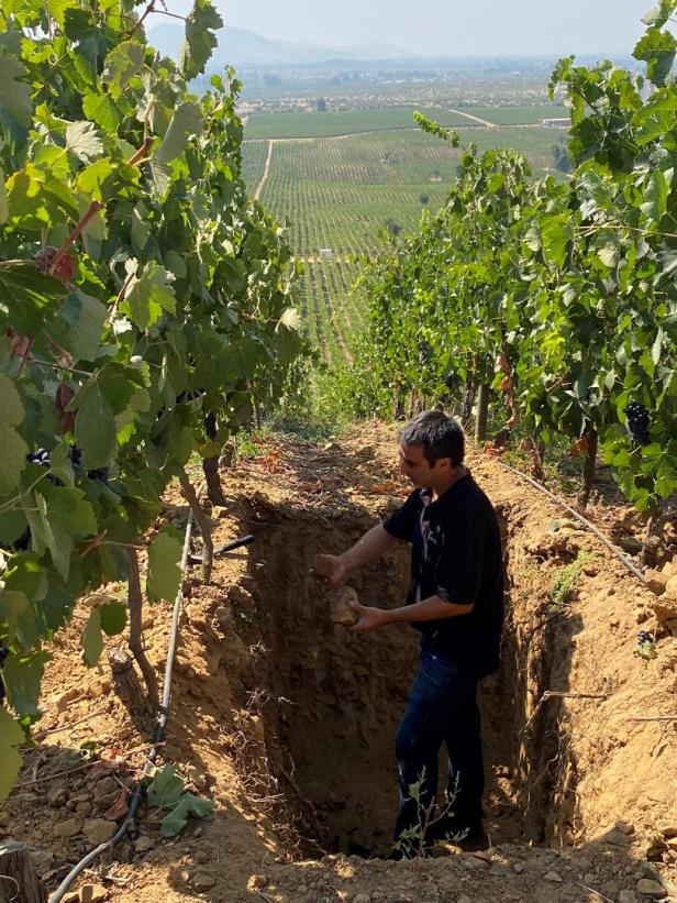 Warum Wein ein guter Grund ist, nach Chile zu reisen