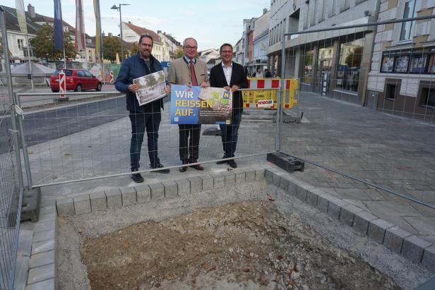 Grün statt Grau: Land will weniger Asphalt in den Städten