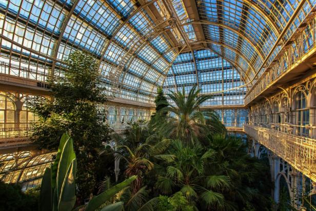 Nachführung mit Sektempfang im Großen Palmenhaus Schönbrunn