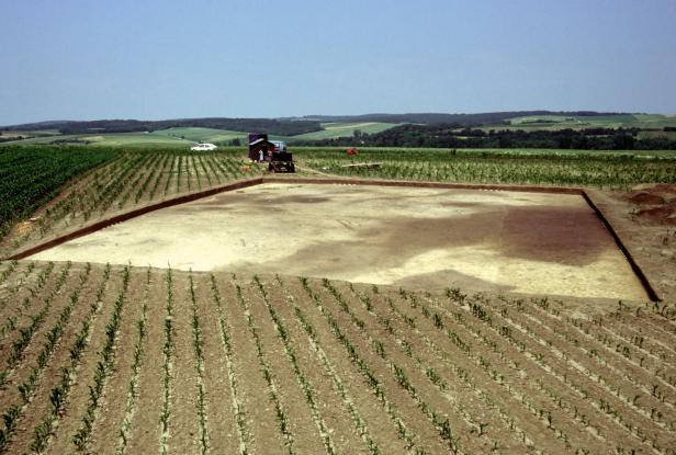 Blick in die mörderische Steinzeit