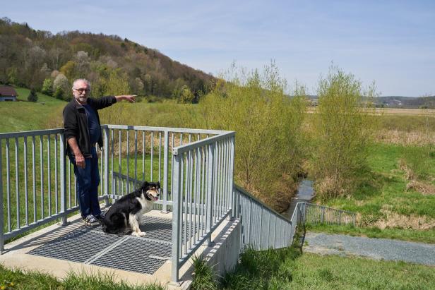 Die Schildkröten kehren ins Burgenland zurück