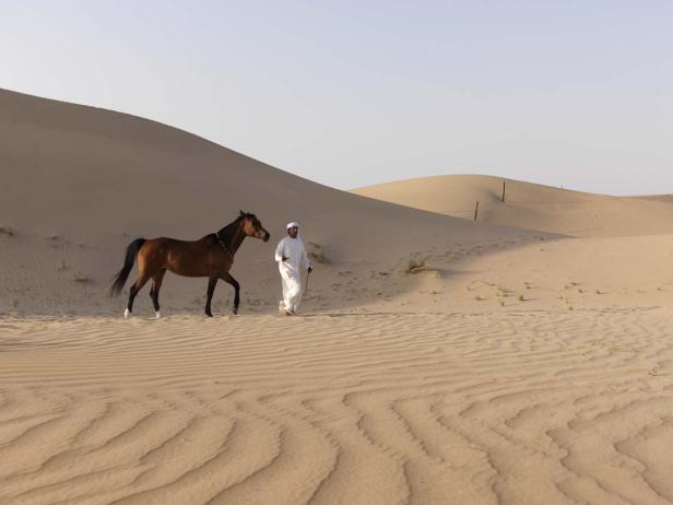 Abu Dhabi erweitert seinen Horizont