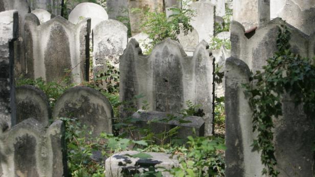 Sensationsfund auf jüdischem Friedhof