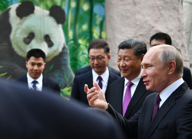 Wie China mit seinen Pandas Politik macht