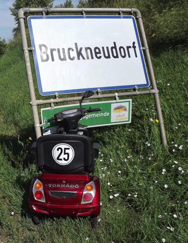 BURGENLAND: ELEKTROMOBIL KRACHT GEGEN ORTSTAFEL -