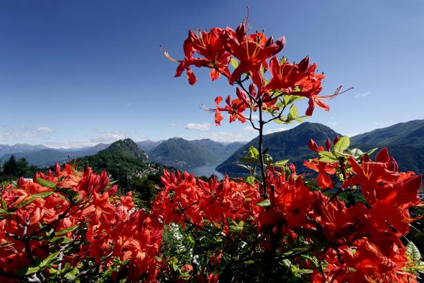 Hierhin sollten Sie im Frühling reisen