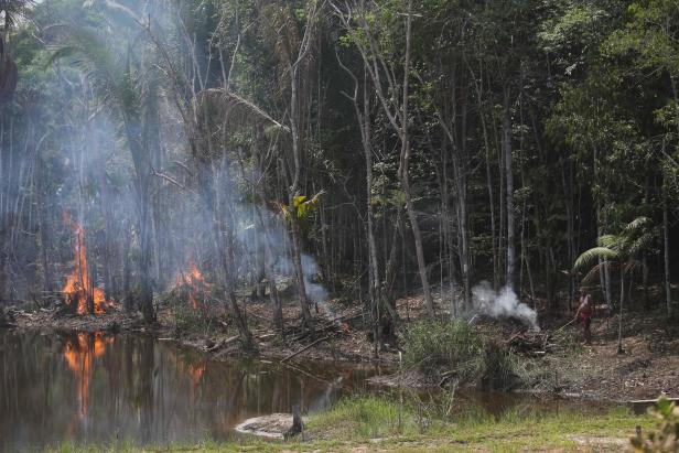 Brasilien: Die Savannenlandschaft des Cerrado ist stark bedroht