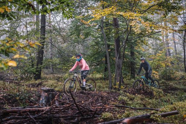 Zwei Mountainbiker fahren auf einem Waldweg.