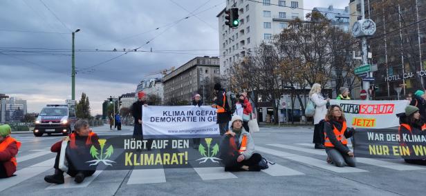 Gewessler kritisiert Klima-Kleber