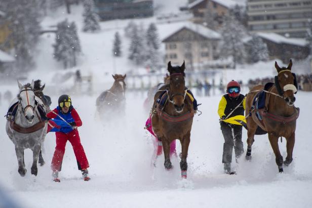 Skijöring-Rennen mit Skifahrern, die von Pferden über eine schneebedeckte Strecke gezogen werden.