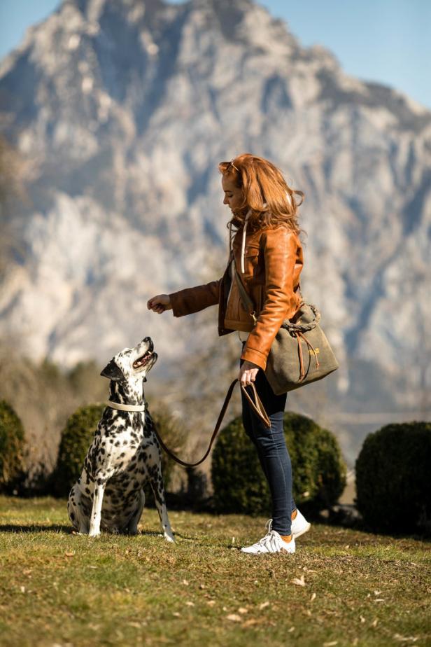 Eine Frau gibt einem Dalmatiner vor einer Bergkulisse ein Leckerli.