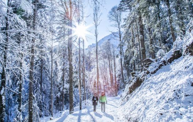 Zwei Personen wandern auf einem verschneiten Weg durch einen Winterwald.