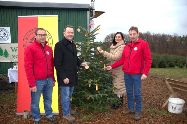 Klimaschutz beim Christbaumkauf: 15 bis 30 Euro pro Laufmeter