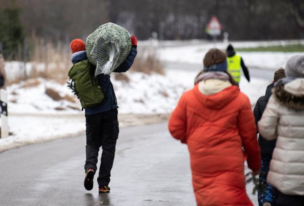 Klimaschutz beim Christbaumkauf: 15 bis 30 Euro pro Laufmeter