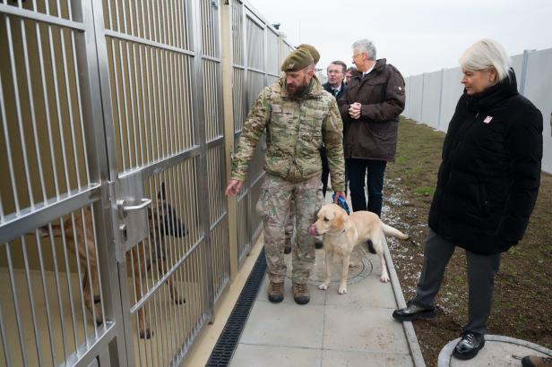 NÖ: Soldat von Hunden getötet - Jagdkommando hat neuen Luxus-Zwinger