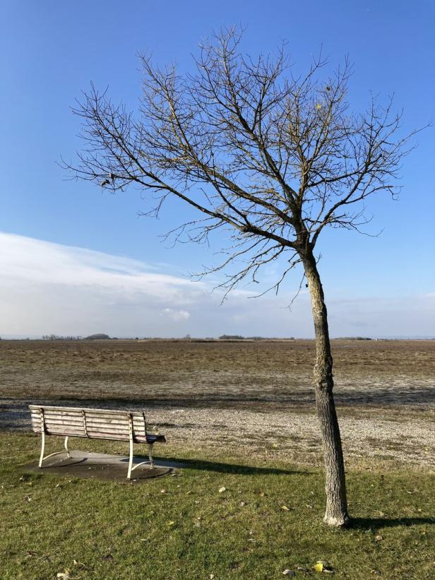 Warum der Zicksee verschwunden ist - und was das für andere Seen bedeutet