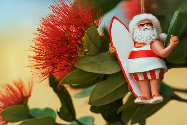Eine Weihnachtsmann-Figur im Badeanzug mit Surfbrett vor einer roten Blüte.
