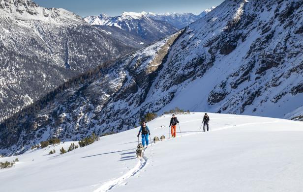Bergpanorama Skitour mit Huskys im Lechtal bei Sonnenschein im Schnee