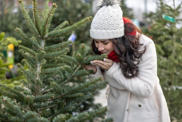 Eine Frau mit Mütze und rotem Schal riecht an den Zweigen eines Tannenbaums im Freien.
