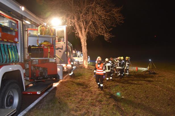 Autolenker starb nach Kollision mit Baum in Niederösterreich