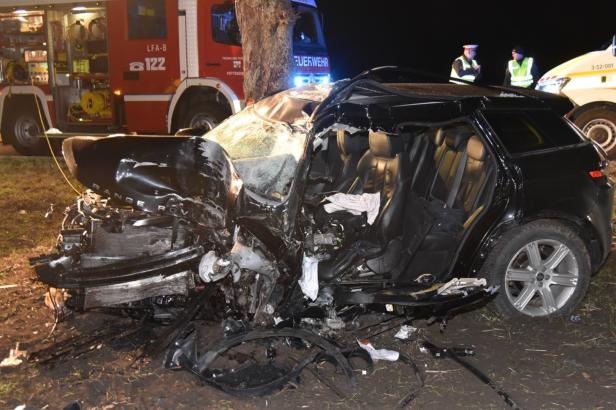 Autolenker starb nach Kollision mit Baum in Niederösterreich