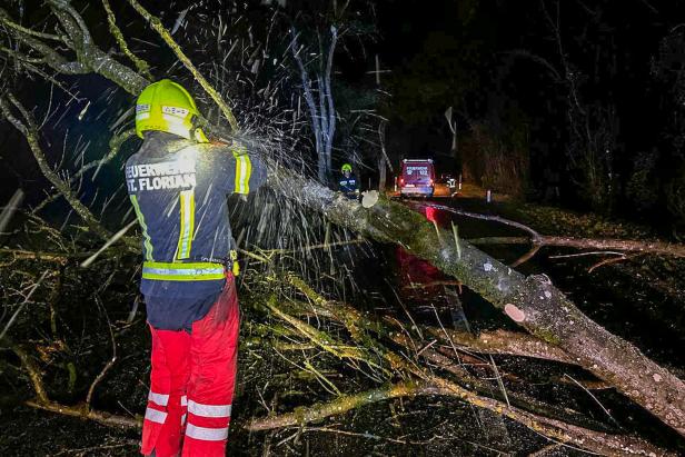 Sturm sorgte für Hunderte Einsätze: In NÖ wurde Jäger von Baum erschlagen
