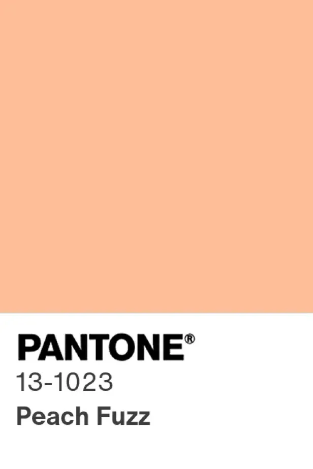 Die Pantone-Farbe des Jahres, „Peach Fuzz“.